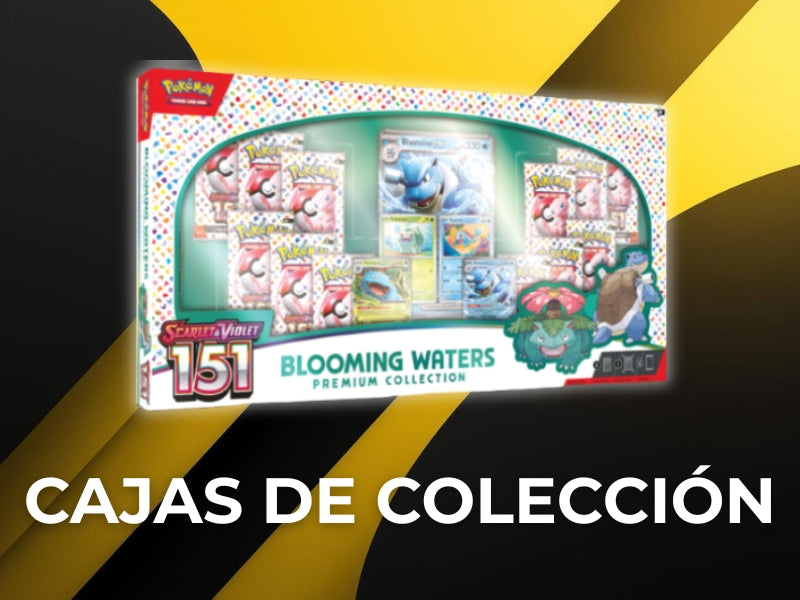COLLECTION BOXES